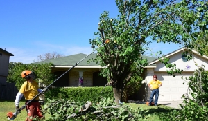 2015---Disaster-Relief---Hurricane-Patricia-23011499012